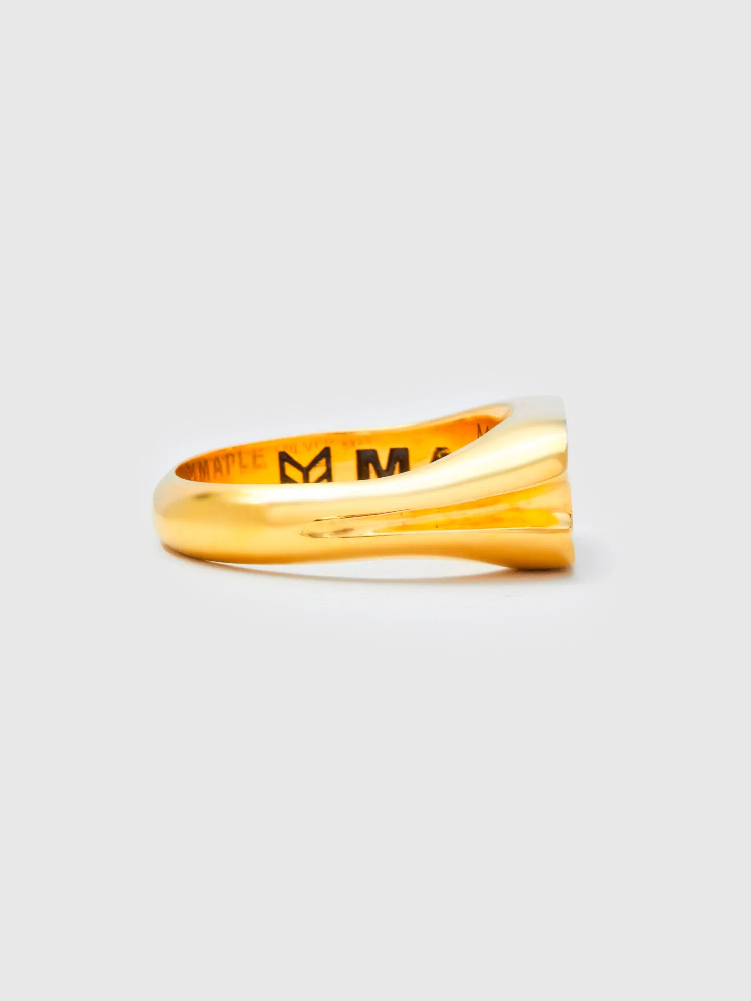 Danny Signet Ring in 14K Gold/Abalone Shell